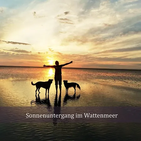 شقة Muschelkoje Norddeutsch Gemuetlich! *